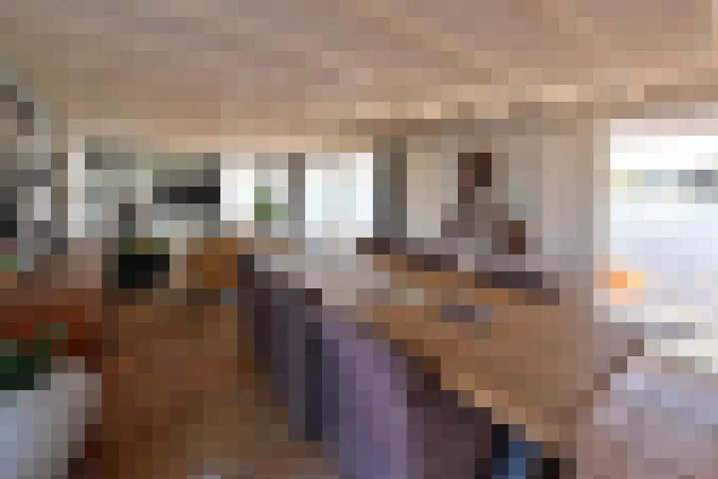 Nieuw-Loosdrechtsedijk 240 a ws01 Loosdrecht thumbnail 4