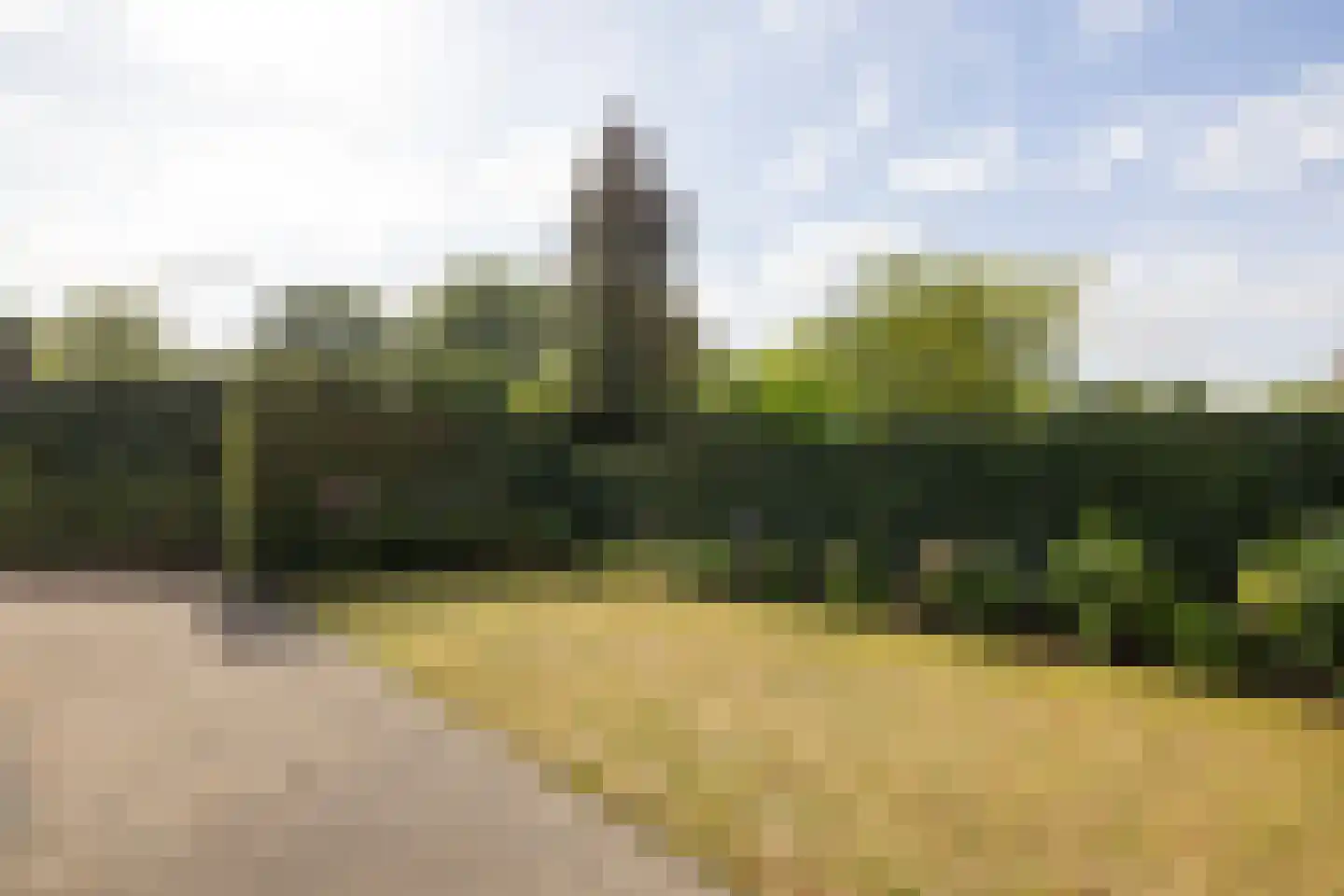 Nieuw-Loosdrechtsedijk 75 Loosdrecht thumbnail 41