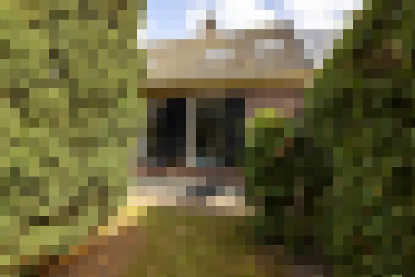 Nieuw-Loosdrechtsedijk 75 Loosdrecht thumbnail 54