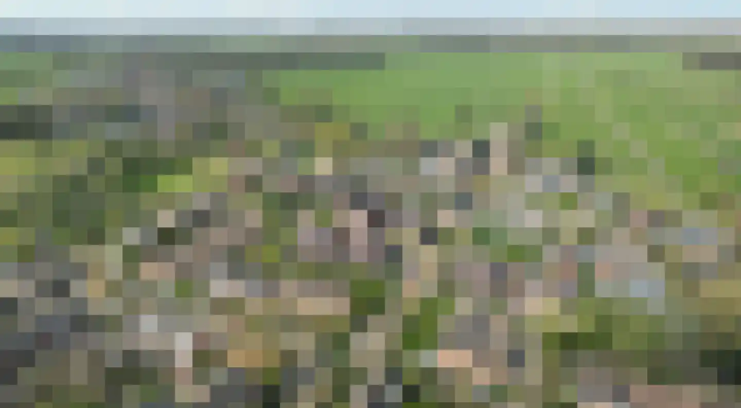 Nieuw-Loosdrechtsedijk 75 Loosdrecht thumbnail 41