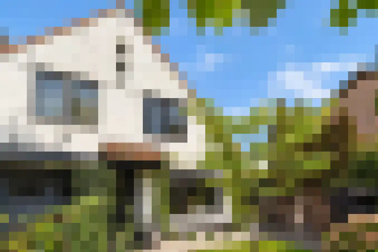 Nieuw-Loosdrechtsedijk 80 Loosdrecht