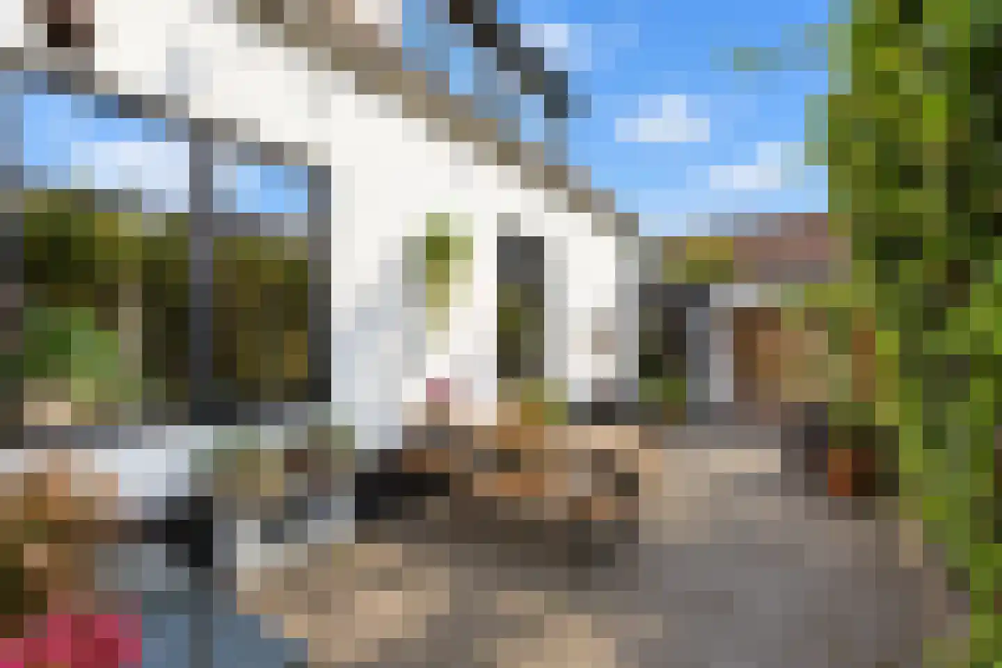 Nieuw-Loosdrechtsedijk 80 Loosdrecht thumbnail 15