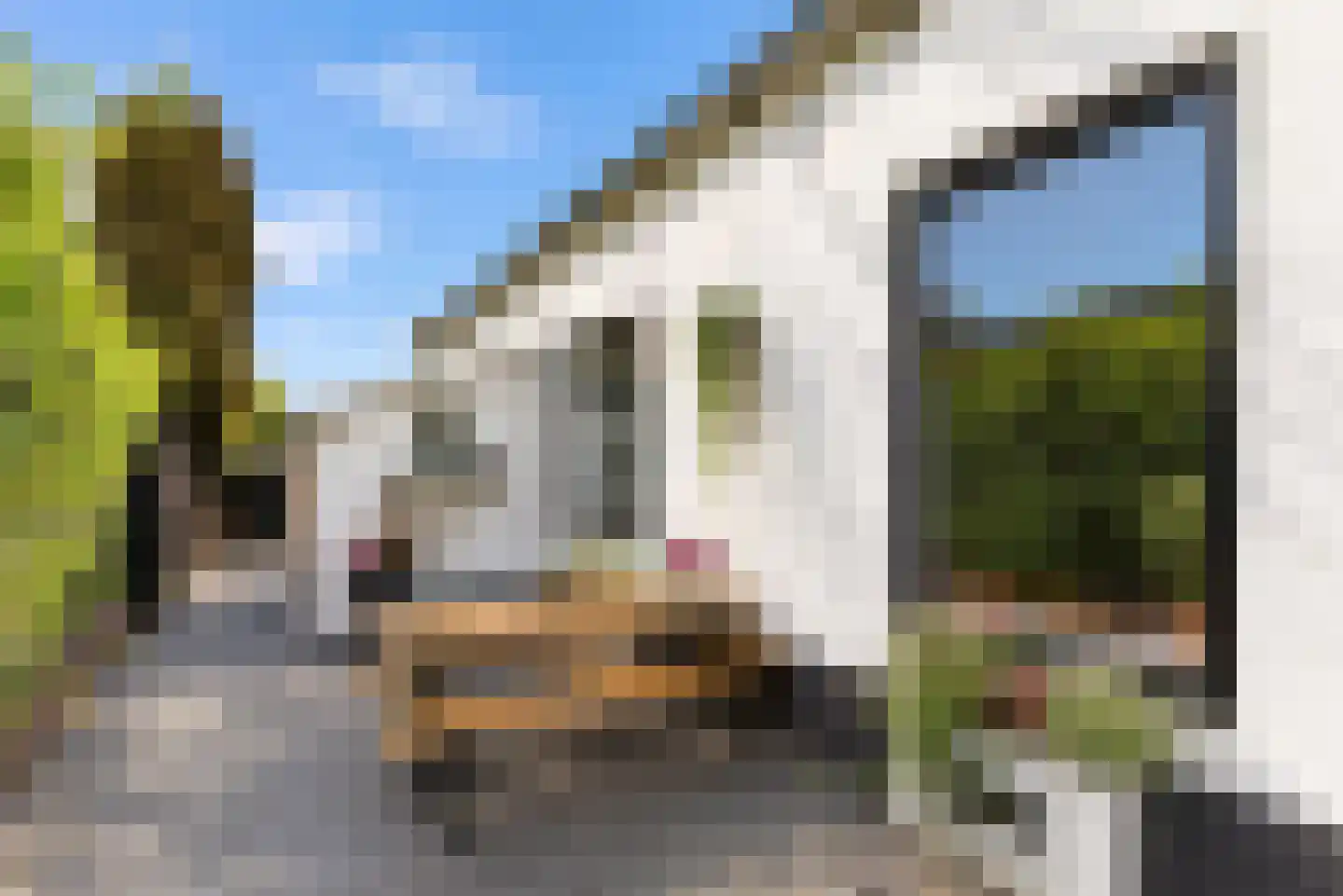 Nieuw-Loosdrechtsedijk 80 Loosdrecht thumbnail 16