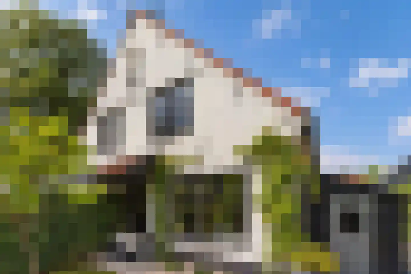 Nieuw-Loosdrechtsedijk 80 Loosdrecht thumbnail 26