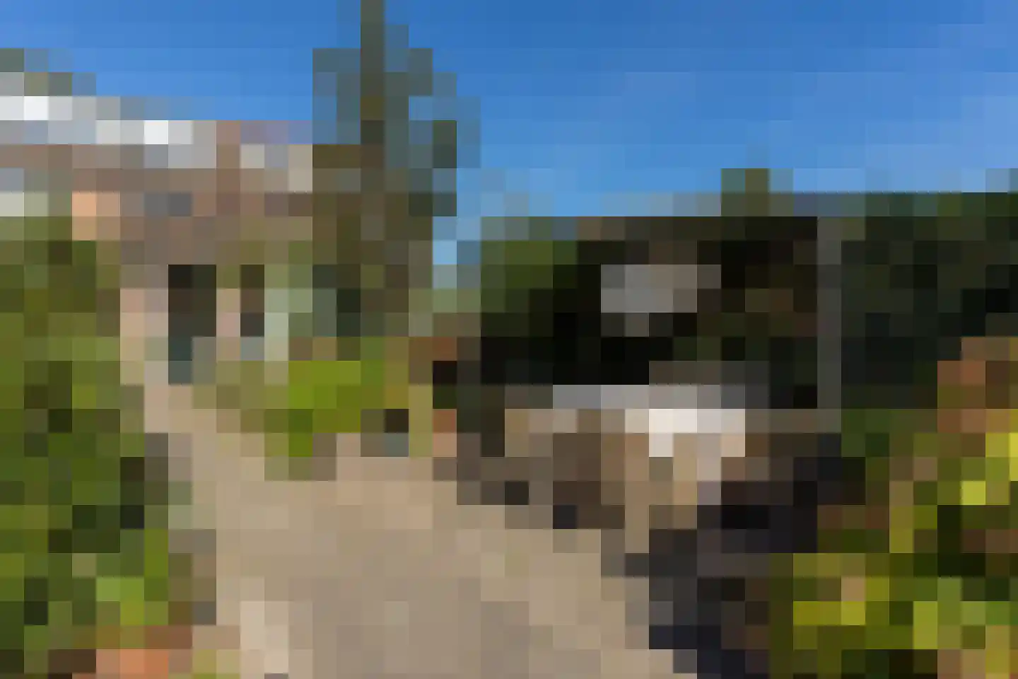 Nieuw-Loosdrechtsedijk 81 Loosdrecht thumbnail 37