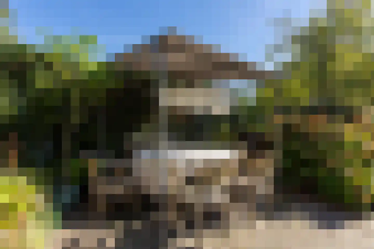 Nieuw-Loosdrechtsedijk 81 Loosdrecht thumbnail 38