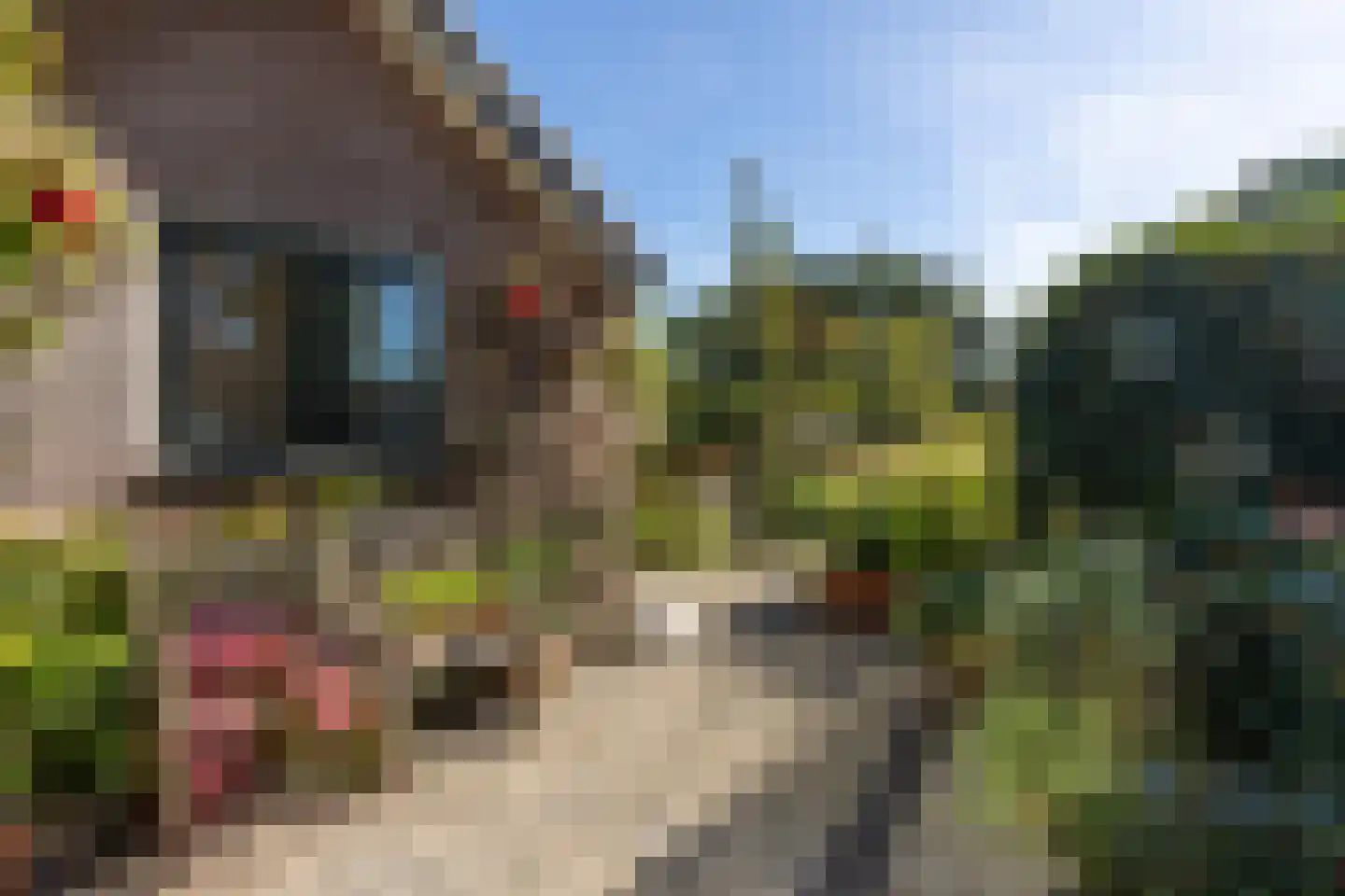 Nieuw-Loosdrechtsedijk 81 Loosdrecht thumbnail 39