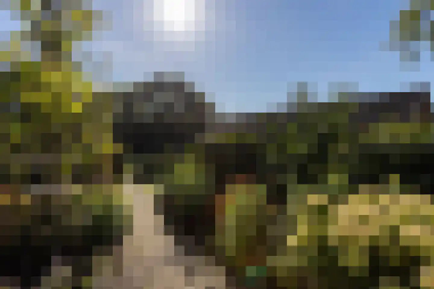 Nieuw-Loosdrechtsedijk 81 Loosdrecht thumbnail 4