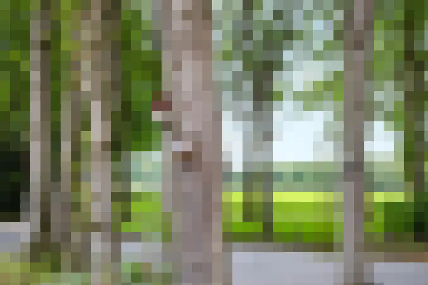 Nieuw Milligenseweg 4 Kootwijk thumbnail 10