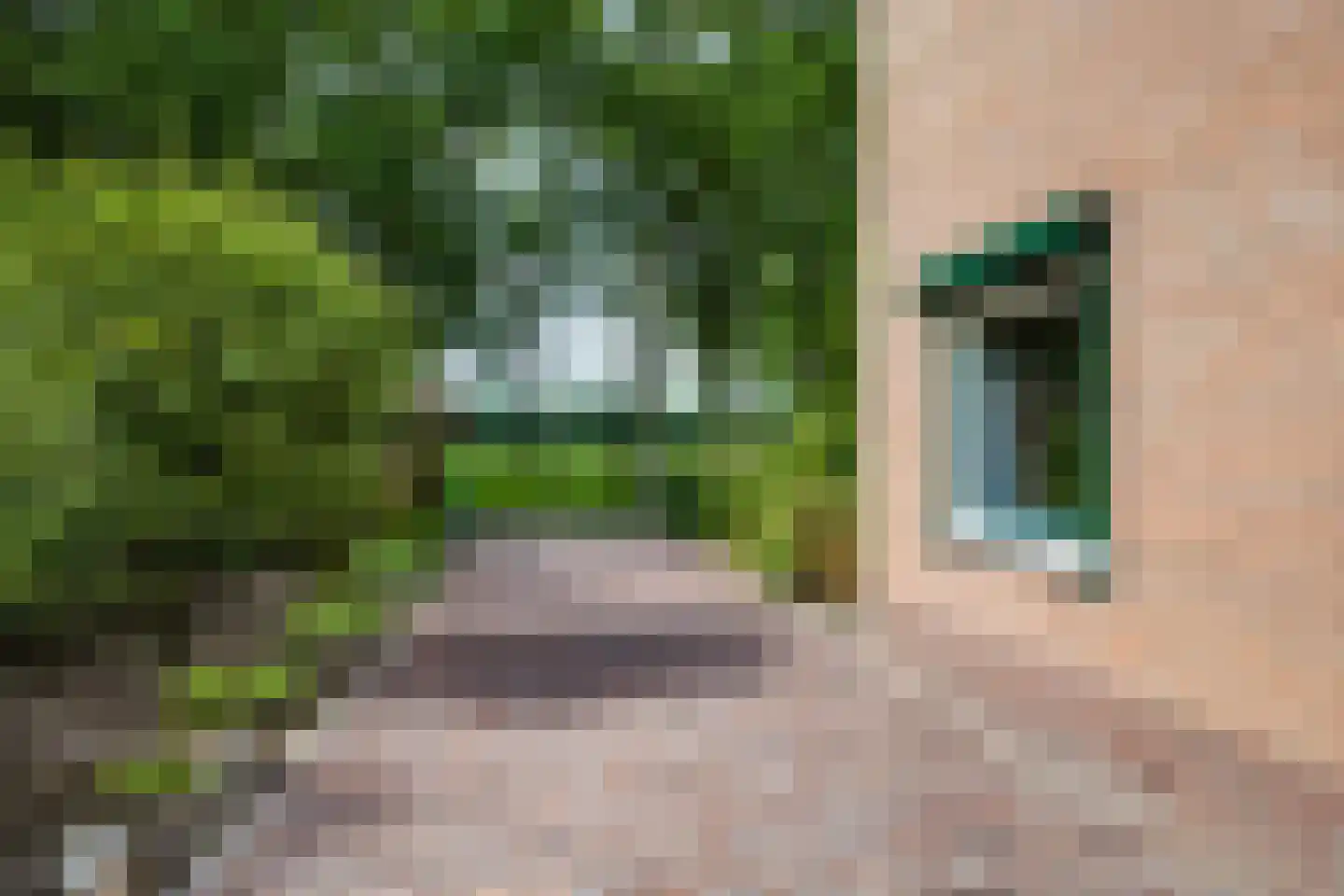 Nieuw Milligenseweg 4 Kootwijk thumbnail 11