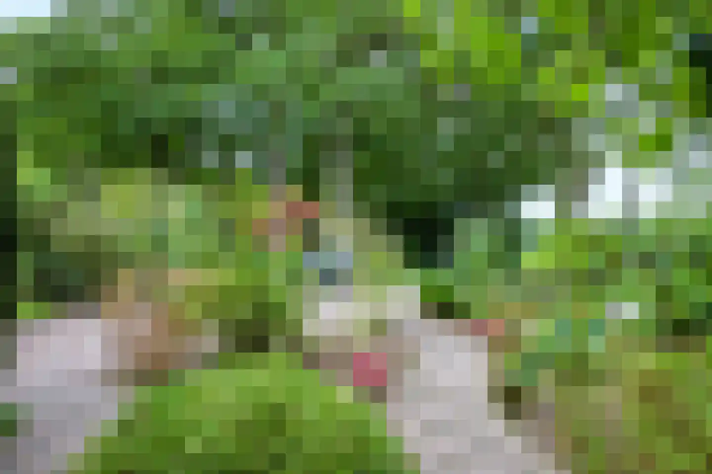 Nieuw Milligenseweg 4 Kootwijk thumbnail 12