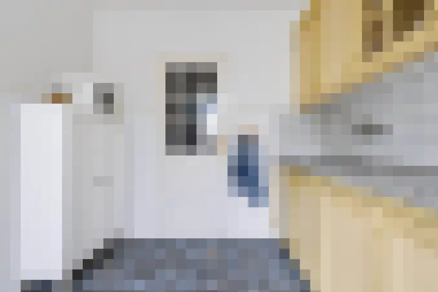 Nieuw Milligenseweg 4 Kootwijk thumbnail 22