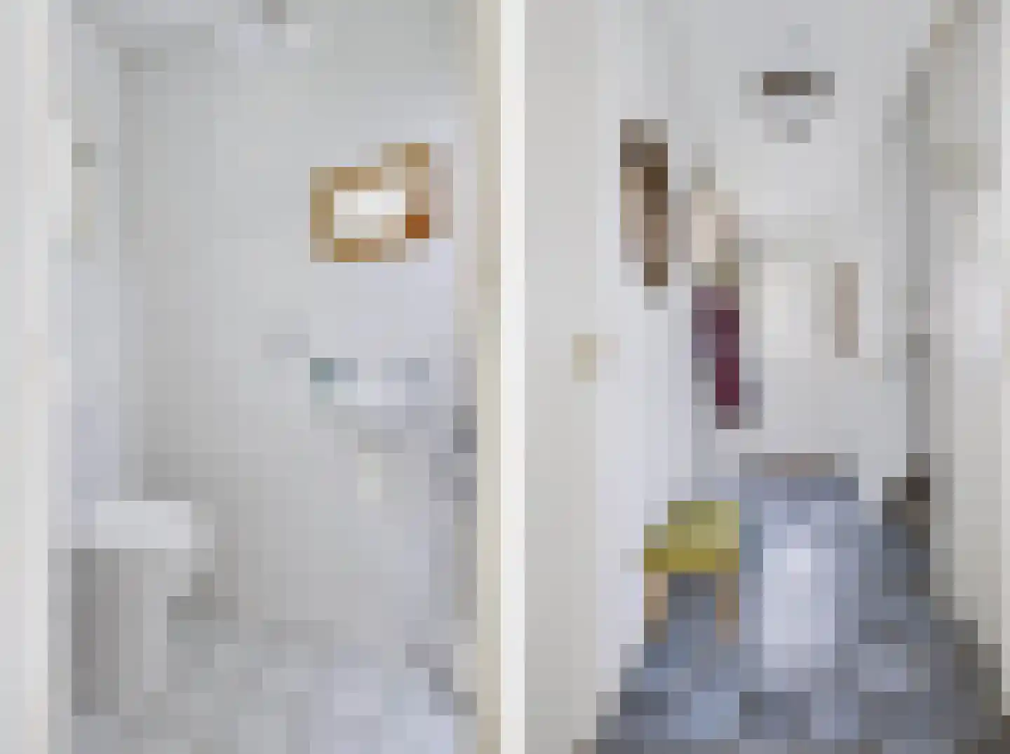 Nieuw Milligenseweg 4 Kootwijk thumbnail 23