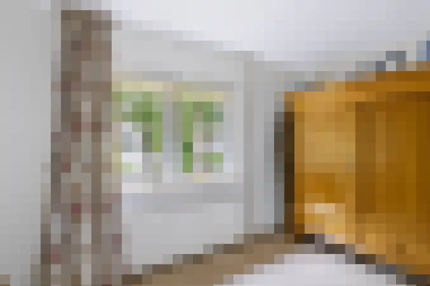 Nieuw Milligenseweg 4 Kootwijk thumbnail 29