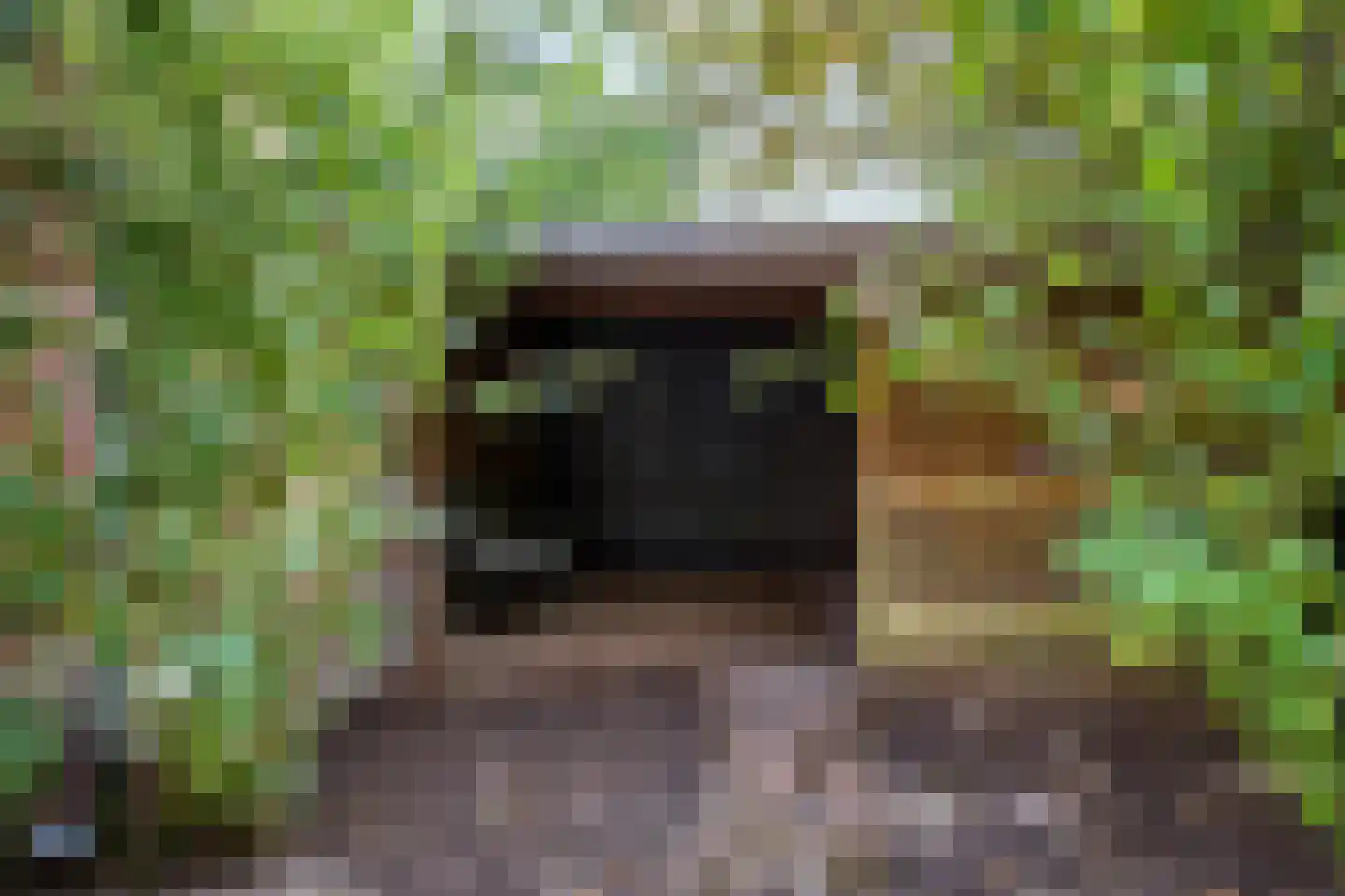 Nieuw Milligenseweg 4 Kootwijk thumbnail 39