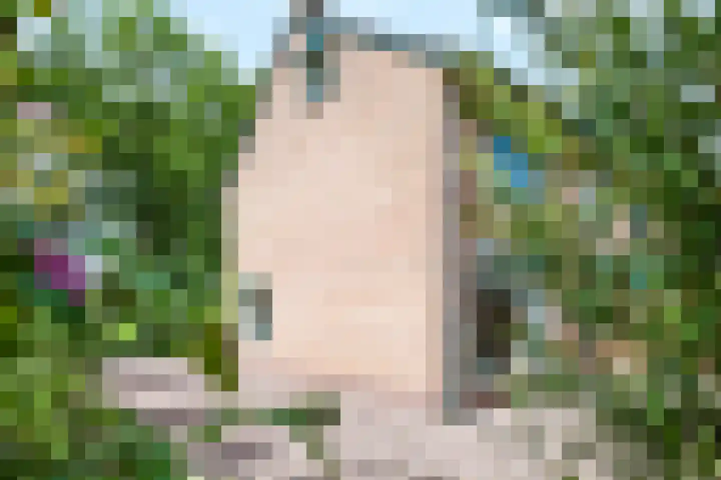 Nieuw Milligenseweg 4 Kootwijk thumbnail 41