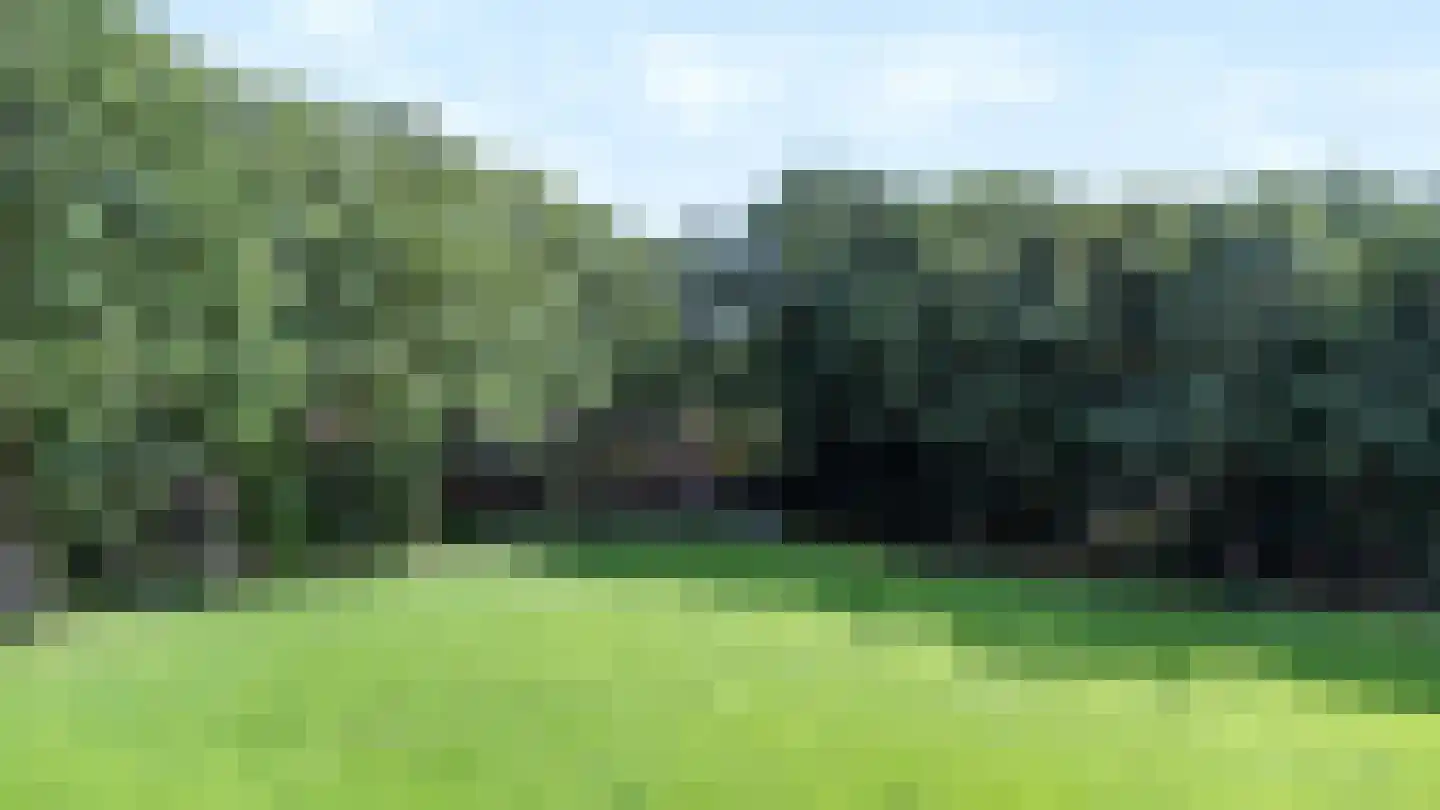 Nieuw Milligenseweg 4 Kootwijk thumbnail 7