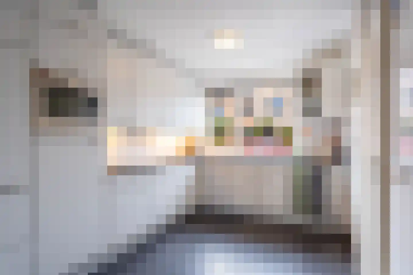 Nieuw Putoor 12 Breda thumbnail 14