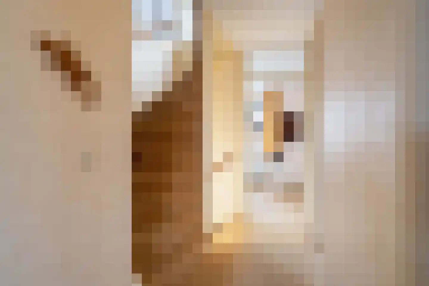 Nieuw Putoor 12 Breda thumbnail 17