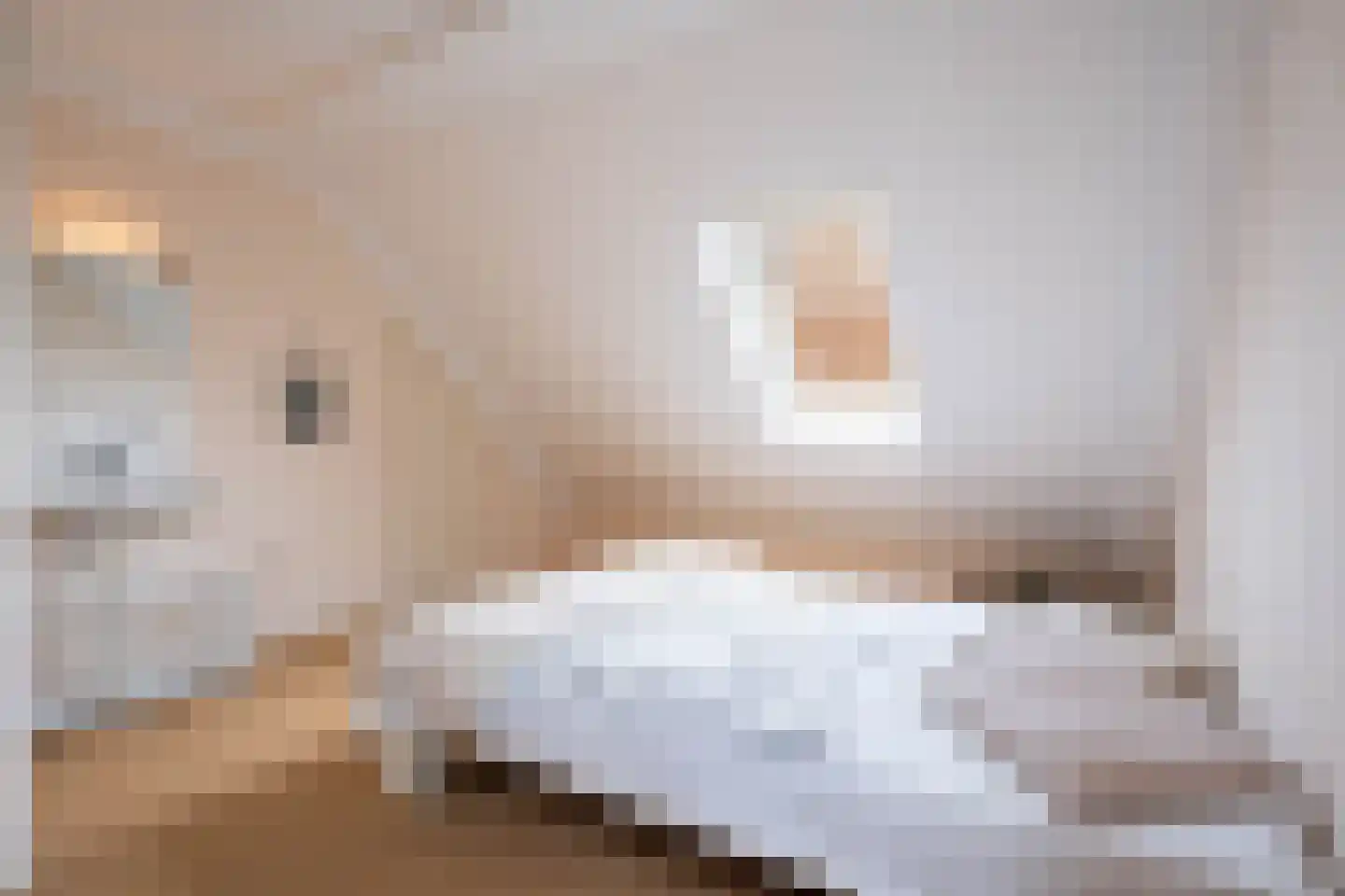 Nieuw Putoor 12 Breda thumbnail 23