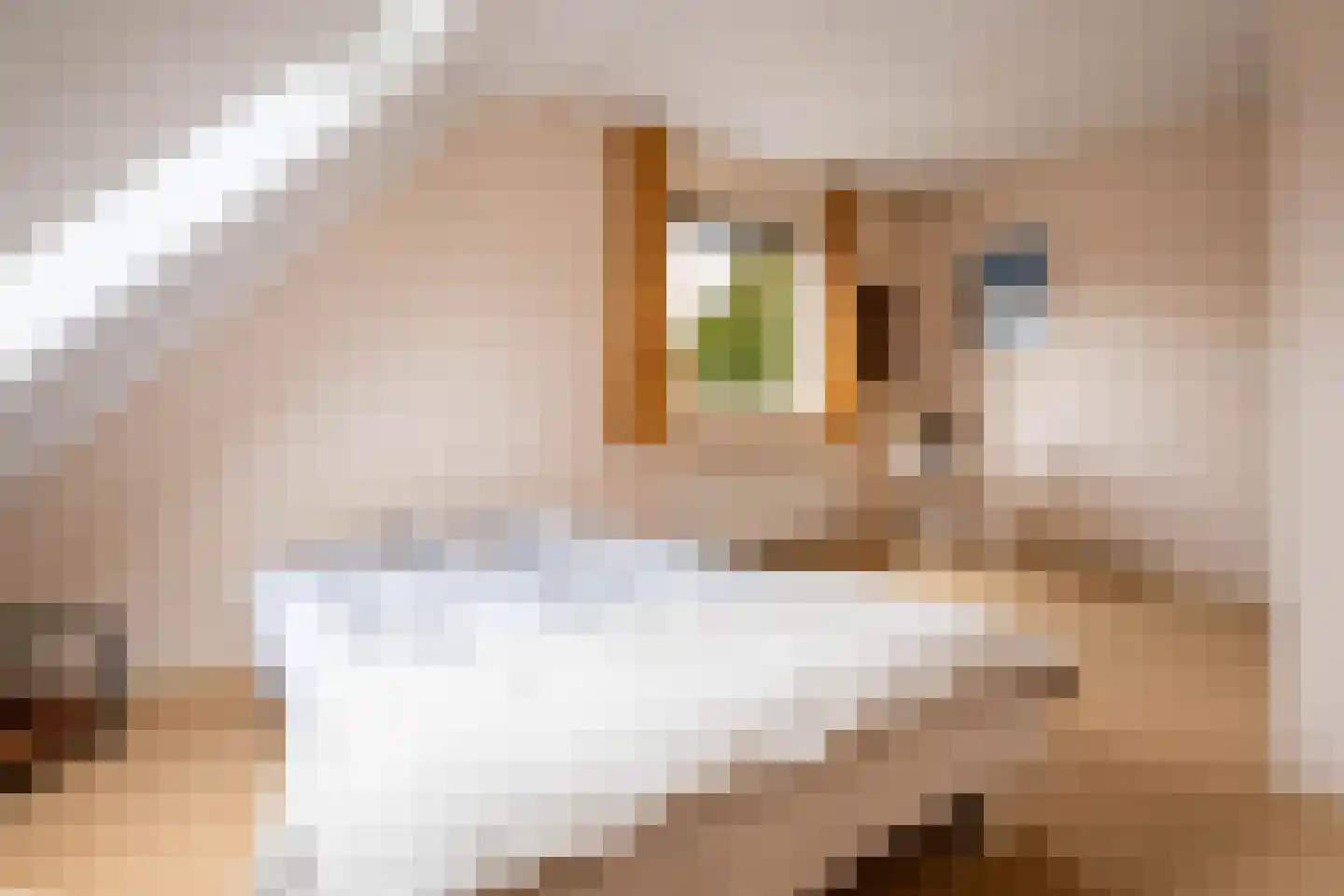 Nieuw Putoor 12 Breda thumbnail 24