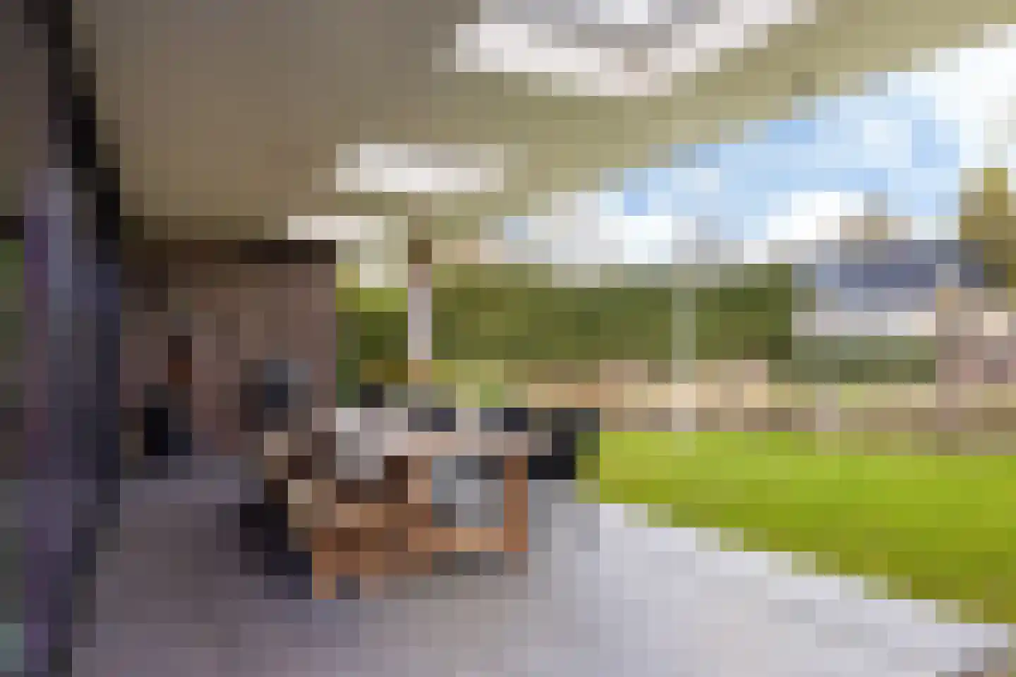 Nieuw-Rapenburg 11 Leeuwarden thumbnail 33