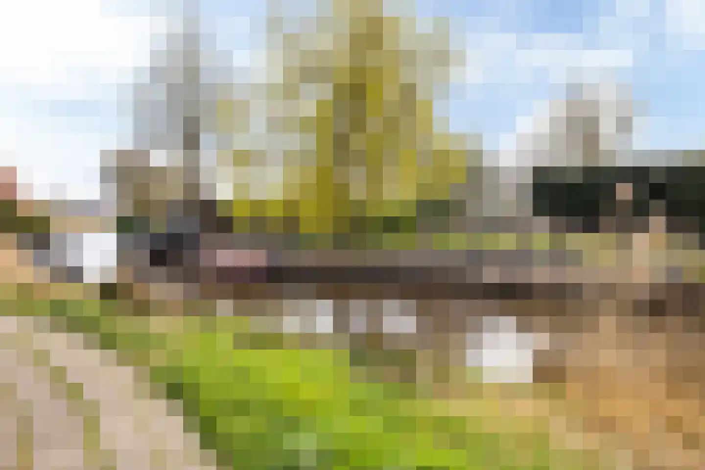 Nieuw-Rapenburg 11 Leeuwarden thumbnail 4