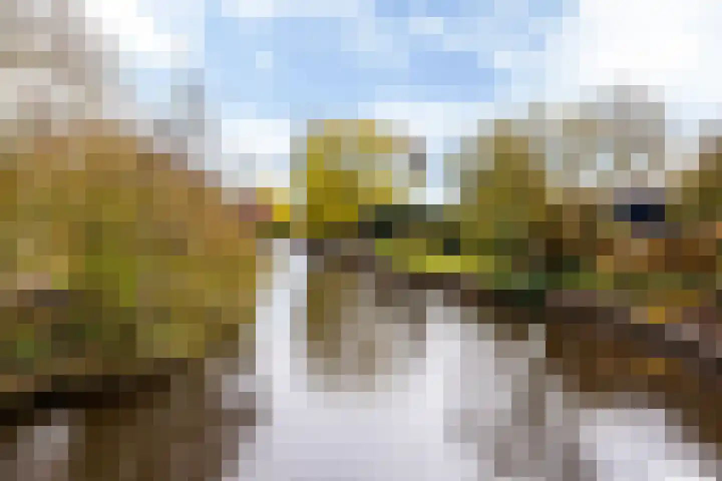 Nieuw-Rapenburg 11 Leeuwarden thumbnail 68