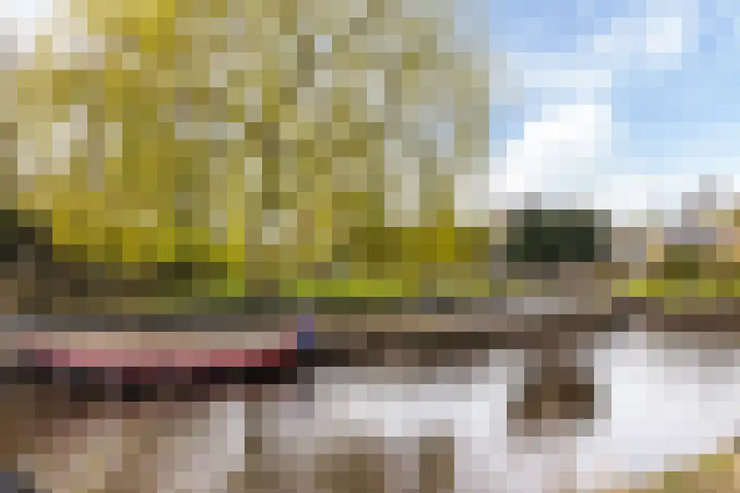 Nieuw-Rapenburg 11 Leeuwarden thumbnail 69