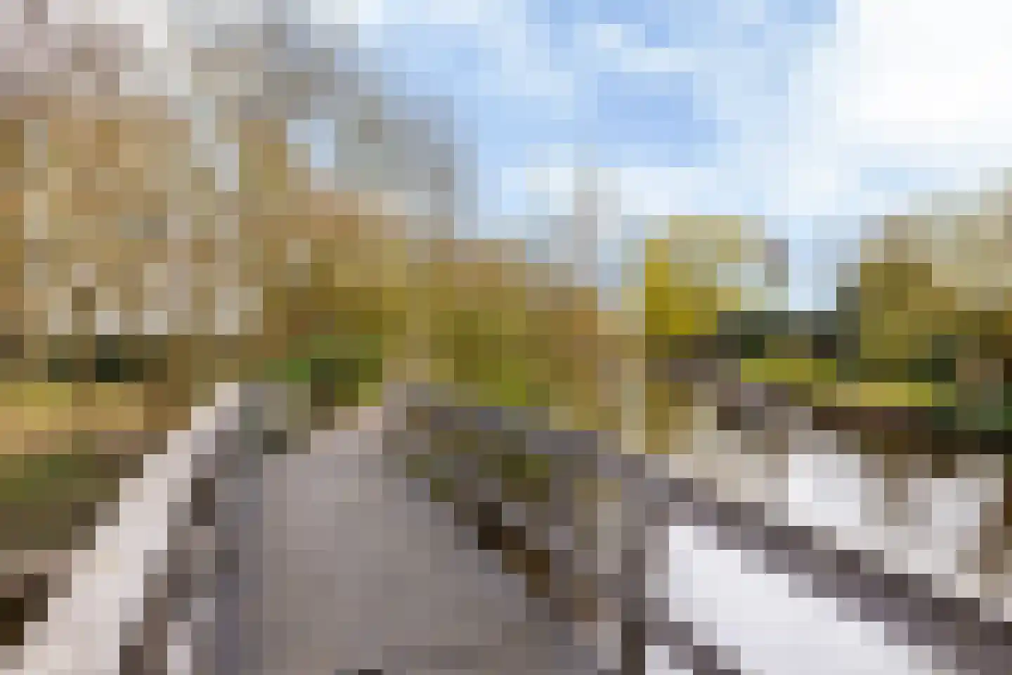 Nieuw-Rapenburg 11 Leeuwarden thumbnail 72