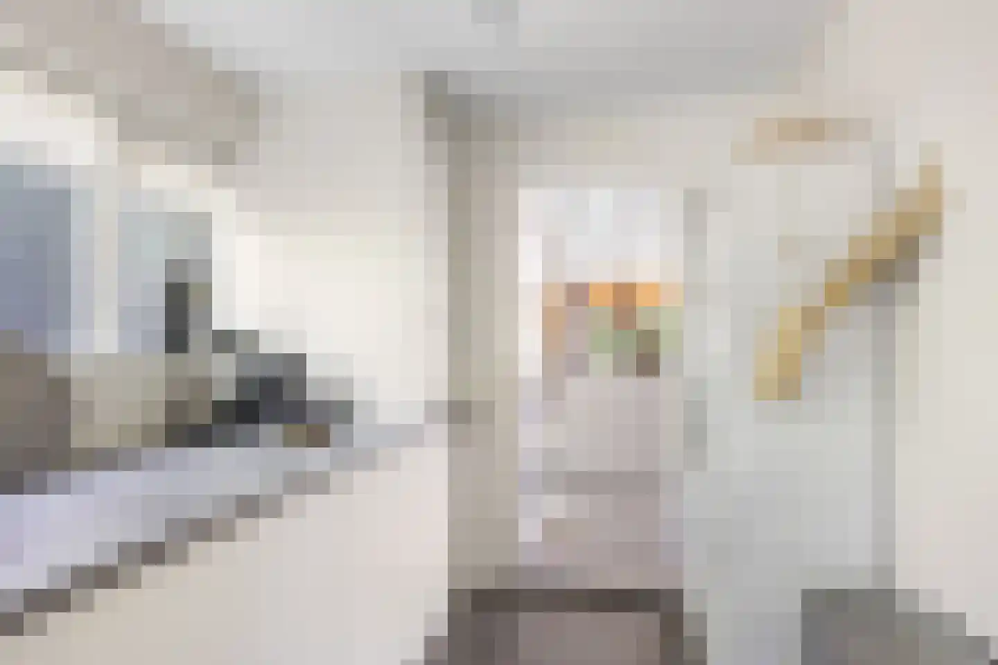 Nieuw-Rapenburg 9 Leeuwarden thumbnail 10