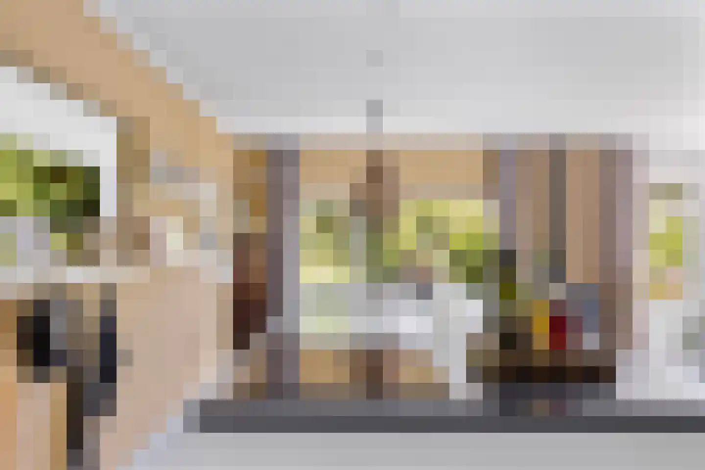Nieuw-Rapenburg 9 Leeuwarden thumbnail 16