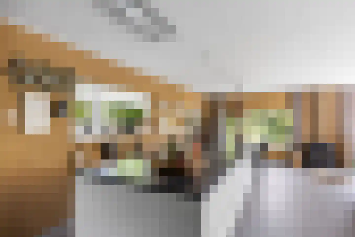 Nieuw-Rapenburg 9 Leeuwarden thumbnail 17