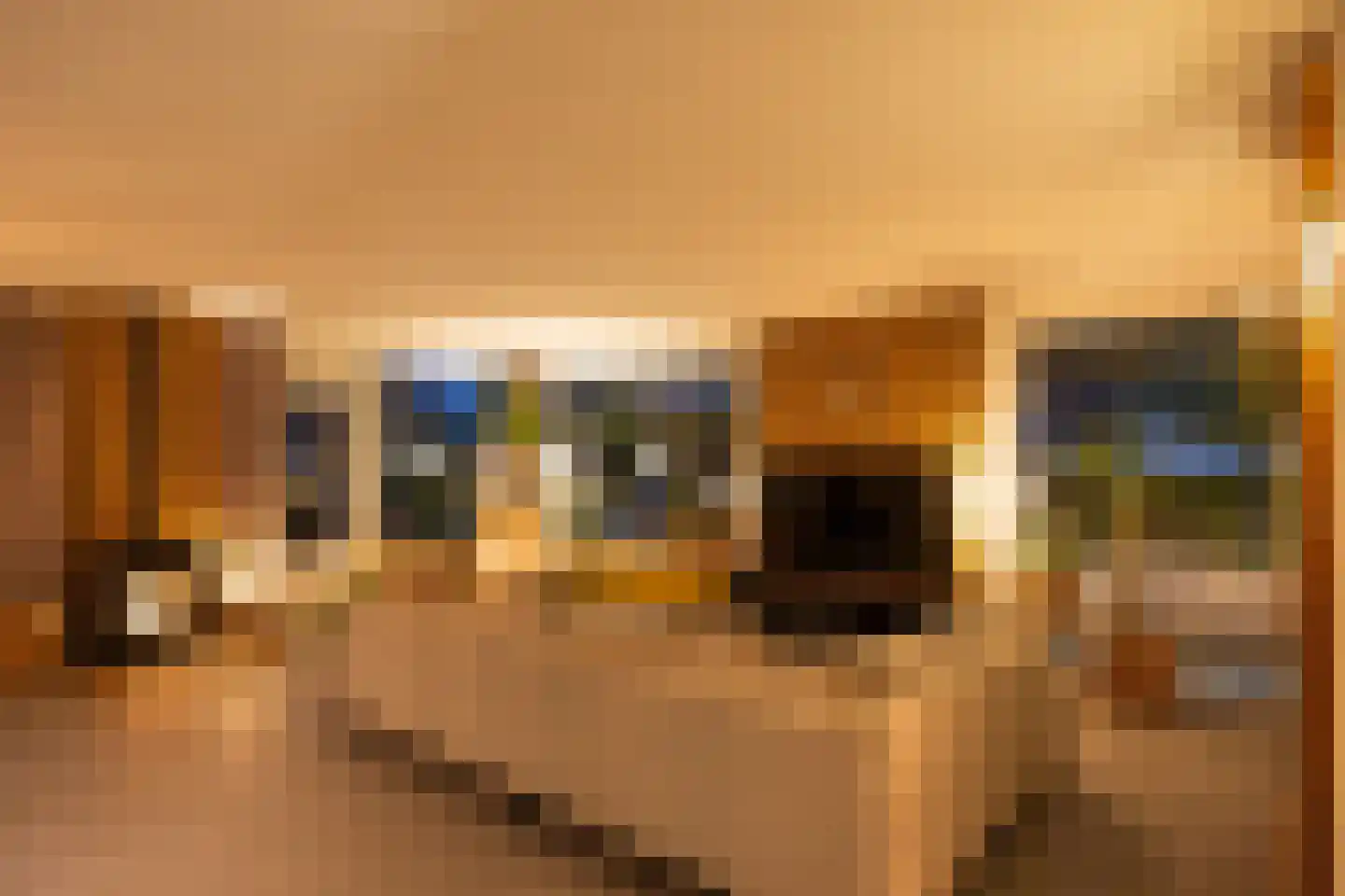 Nieuw-Rapenburg 9 Leeuwarden thumbnail 23