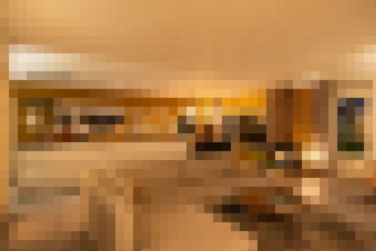 Nieuw-Rapenburg 9 Leeuwarden thumbnail 25