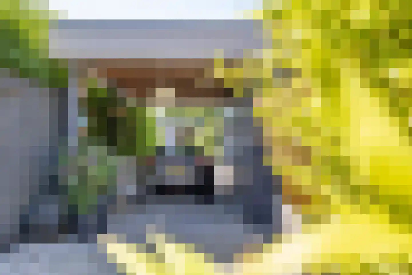 Nieuw-Rapenburg 9 Leeuwarden thumbnail 49