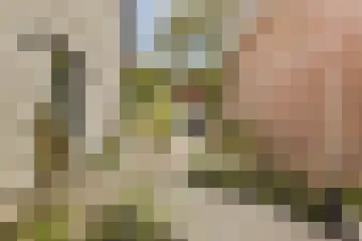 Nieuw Rijksdorp 70 Wassenaar thumbnail 10