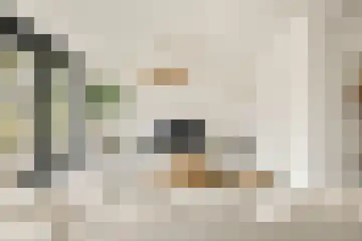 Nieuw Rijksdorp 70 Wassenaar thumbnail 16