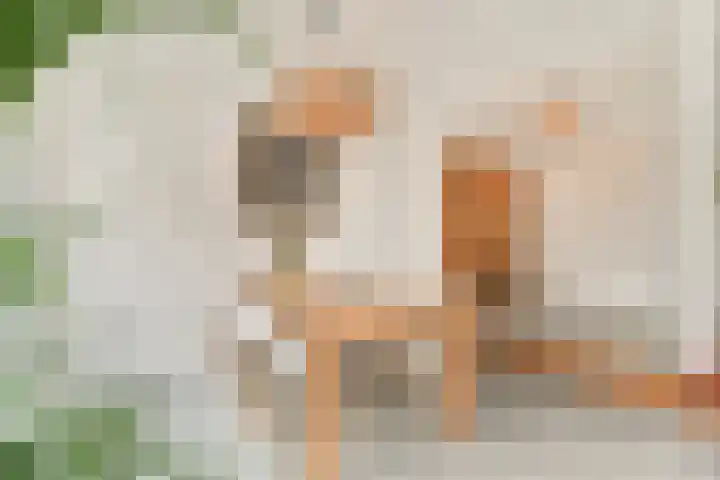 Nieuw Rijksdorp 70 Wassenaar thumbnail 22