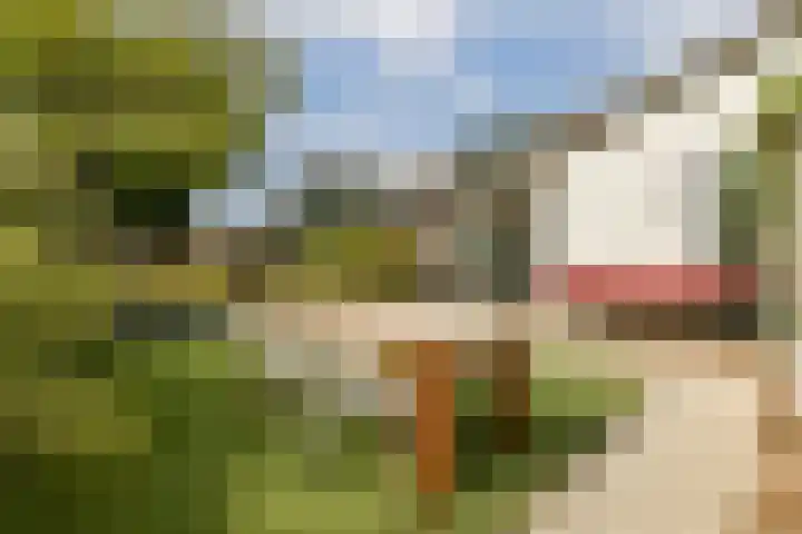 Nieuw Rijksdorp 70 Wassenaar thumbnail 24