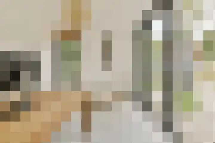 Nieuw Rijksdorp 70 Wassenaar thumbnail 30