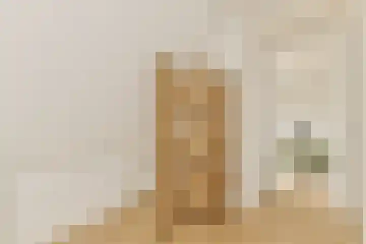 Nieuw Rijksdorp 70 Wassenaar thumbnail 33
