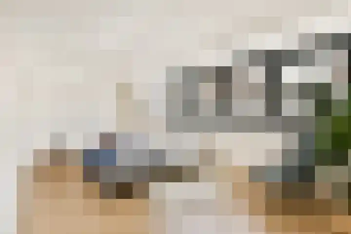 Nieuw Rijksdorp 70 Wassenaar thumbnail 34