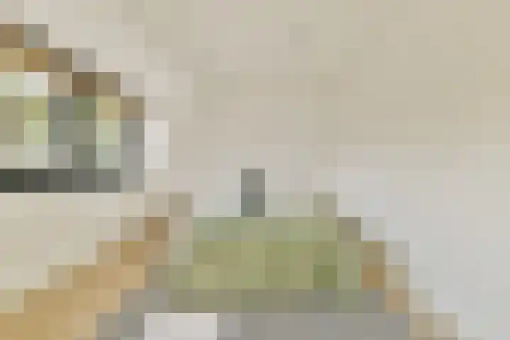 Nieuw Rijksdorp 70 Wassenaar thumbnail 39