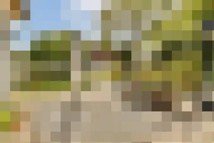 Nieuw Rijksdorp 70 Wassenaar thumbnail 4