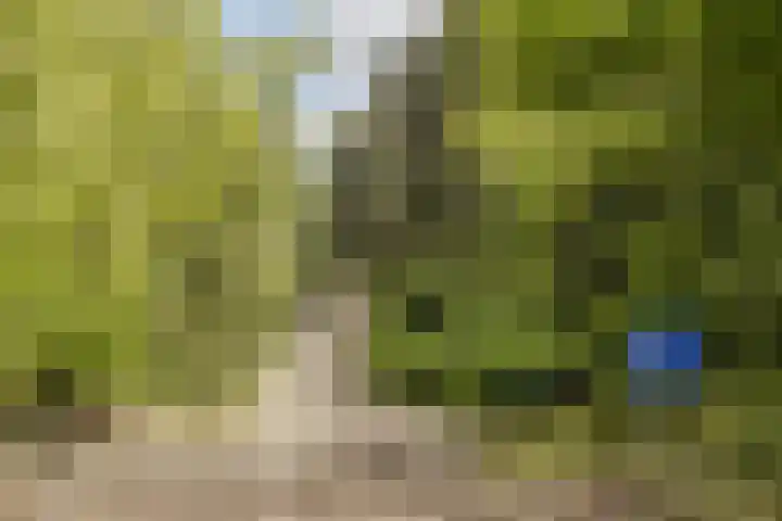 Nieuw Rijksdorp 70 Wassenaar thumbnail 42