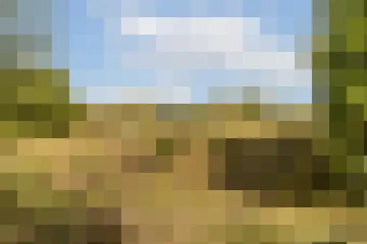 Nieuw Rijksdorp 70 Wassenaar thumbnail 43