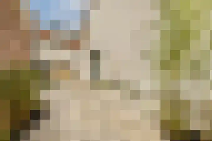 Nieuw Rijksdorp 70 Wassenaar thumbnail 9