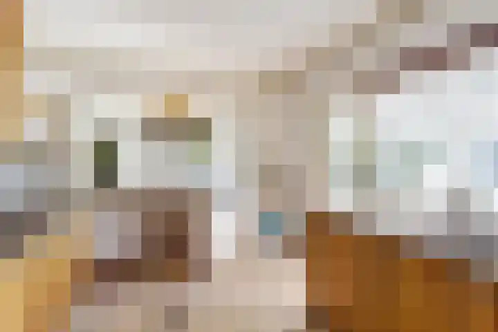 Nieuw Rockanjesedijk 1 c Rockanje thumbnail 16