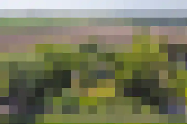 Nieuw Rockanjesedijk 1 c Rockanje thumbnail 27